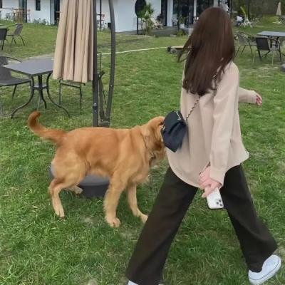 顽童艳福